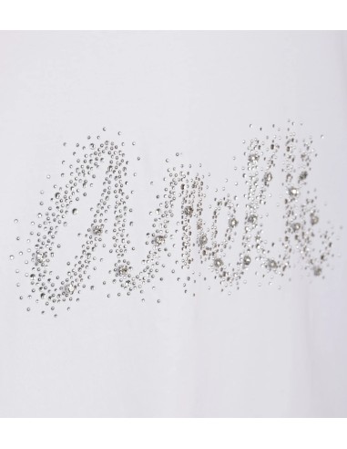 CAMISETA-BLANCA-LOGO-BRILANTITOS-PLATA-ANEKKE