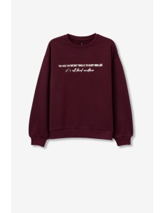 SUDADERA-FELPADA-CUELLO-REDONDO-REXTO-FRONTAL-METALIZADO-OCEANIC-TIFFOSI