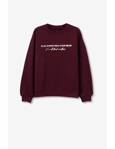 SUDADERA-FELPADA-CUELLO-REDONDO-REXTO-FRONTAL-METALIZADO-OCEANIC-TIFFOSI