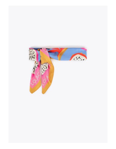 PAÑUELO-CUADRADO-AZUL-MULTI-PELICANOS-LOGO-ALREDEDOR-LOLA-CASADEMUNT