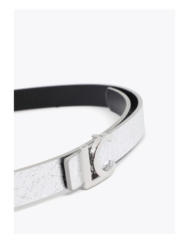 CINTURÓN-REVERSIBLE-PLATEADO-NEGRO-HEBILLA-PLATA-LC-LOLA-CASADEMUNT