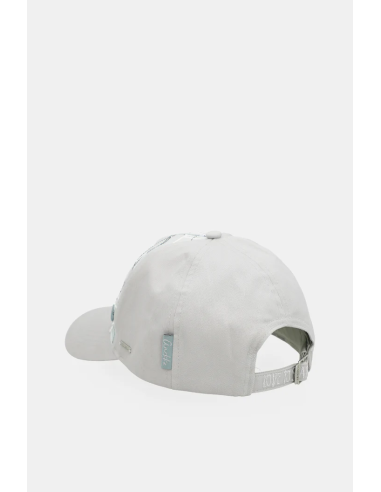 GORRA-ESTAMPADO-OLYMPIA-GRIS-PLATA-COLORES-DIFUMINADOS-ANEKKE