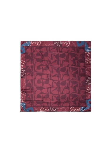 PAÑUELO-CUADRADO-ESTAMPADO-ODYSSEY-ANEKKE