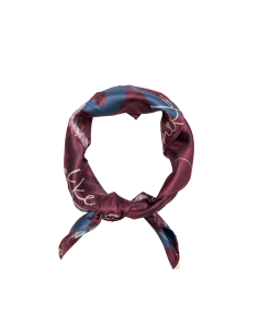 PAÑUELO-CUADRADO-ESTAMPADO-ODYSSEY-ANEKKE 2